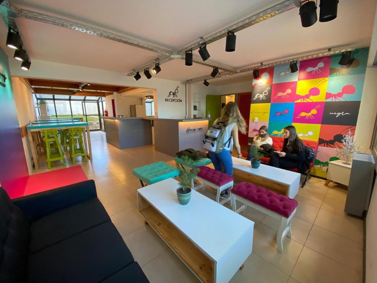 Hostel Hormiga Negra San Carlos de Bariloche Eksteriør bilde